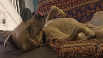 IMG_5561.jpeg