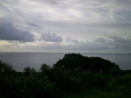 DSCF0015.JPG