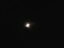 DSCF0036.JPG