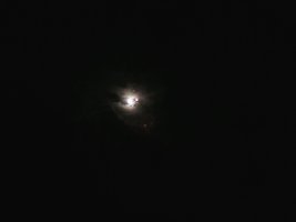 DSCF0037.JPG