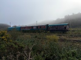 IMG_0467.jpeg