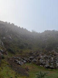 IMG_0464.jpeg