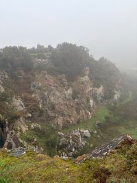 IMG_0463.jpeg