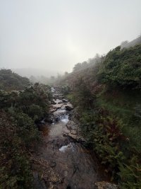 IMG_0460.jpeg