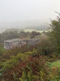 IMG_0461.jpeg