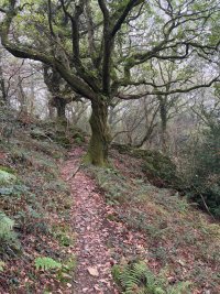 IMG_0451.jpeg