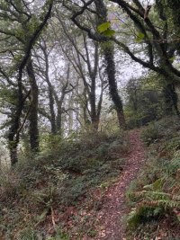 IMG_0450.jpeg