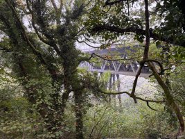 IMG_0446.jpeg
