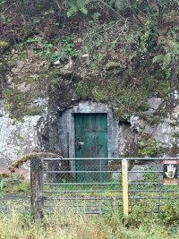 IMG_0437.jpeg
