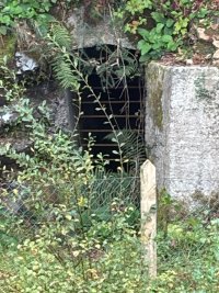 IMG_0438.jpeg