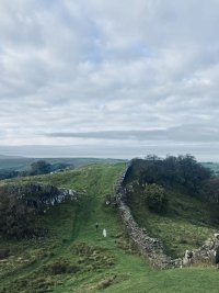 IMG_4367.jpeg
