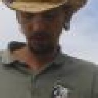 wisewoods_andy