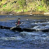 Long Paddle Martin