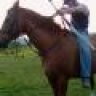 The Farrier Phil