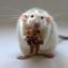 RictusGrimm