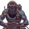 roguetrooper