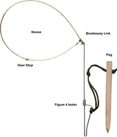 Snaring and the law in the UK – BushcraftUK