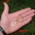 fishhook011-1