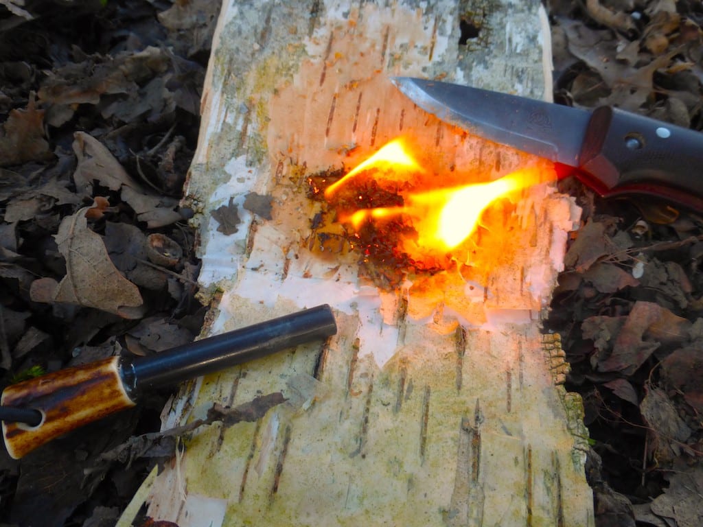 birch bark fire