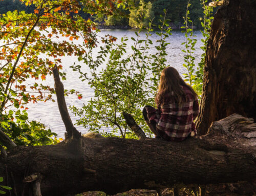 Bushcraft and your mental health
