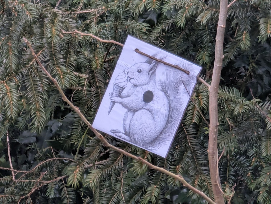 Cheeky Squirrel