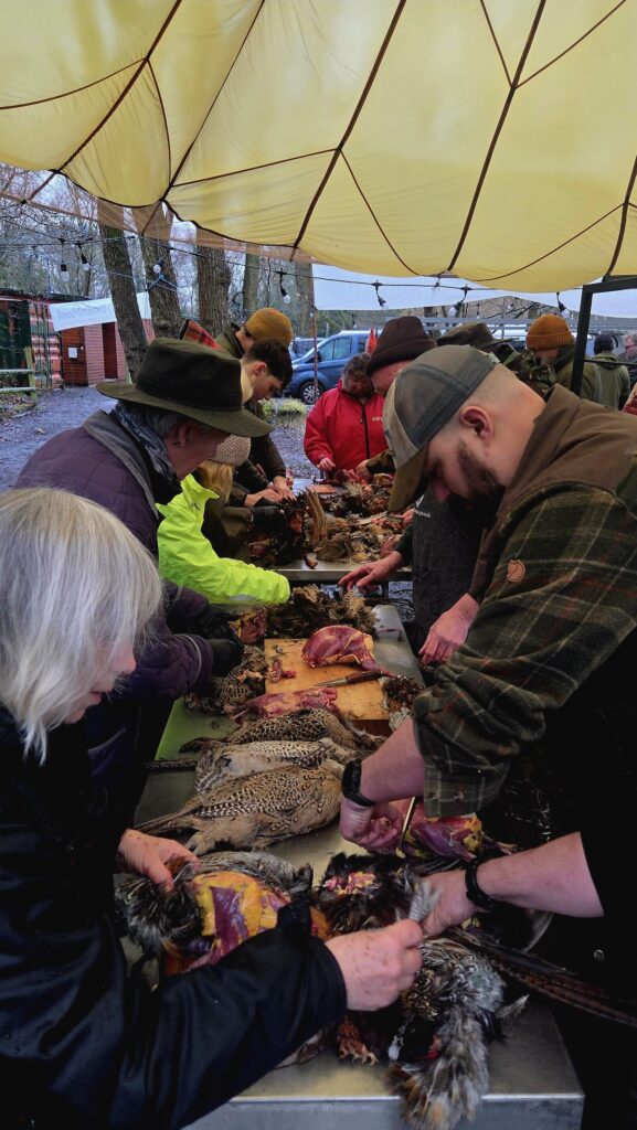 Group pheasant butchery